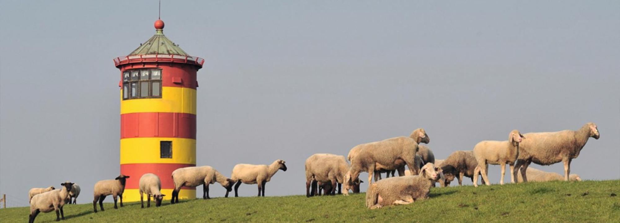 Ferienwohnung Vogelnest Hage Exterior foto