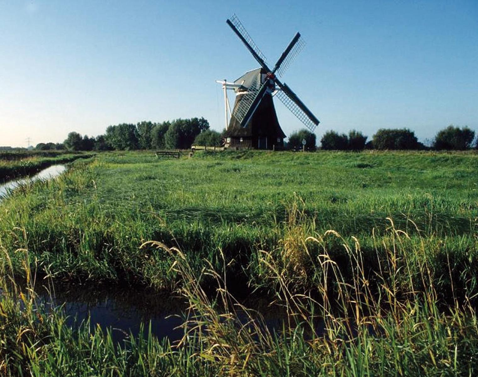 Ferienwohnung Vogelnest Hage Exterior foto